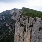 gorge du verdon