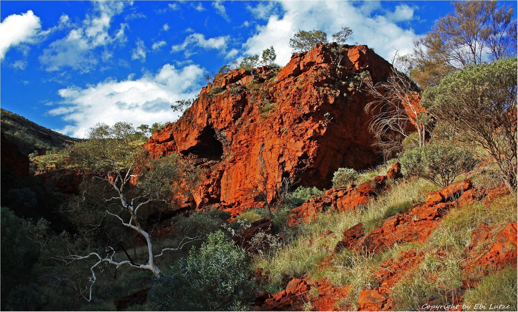 * Gorge Nameless /near Newman *