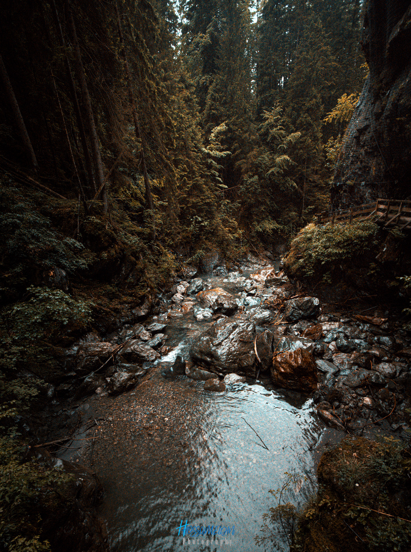 Gorges de la Diosaz