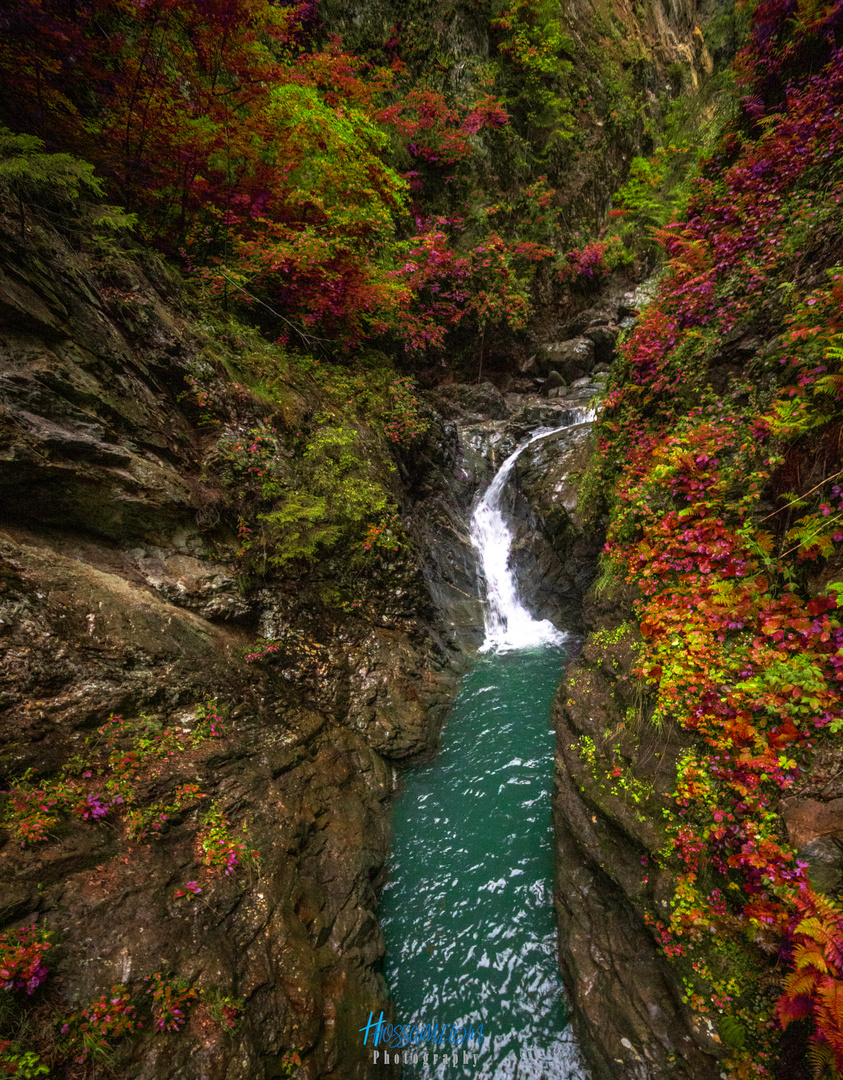 Gorges de la Diosaz