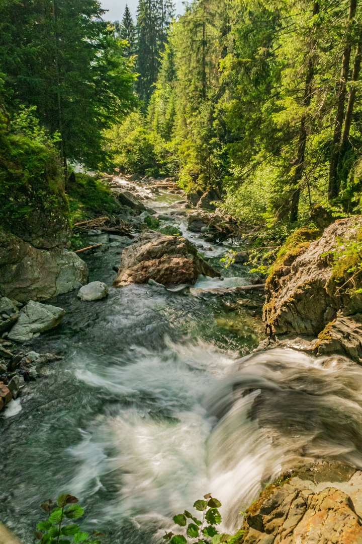 Gorges de la Diosaz bei Servos in den Alpen