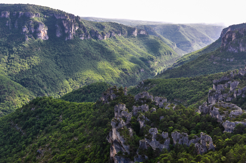 Gorges de la Dourbie am Abend