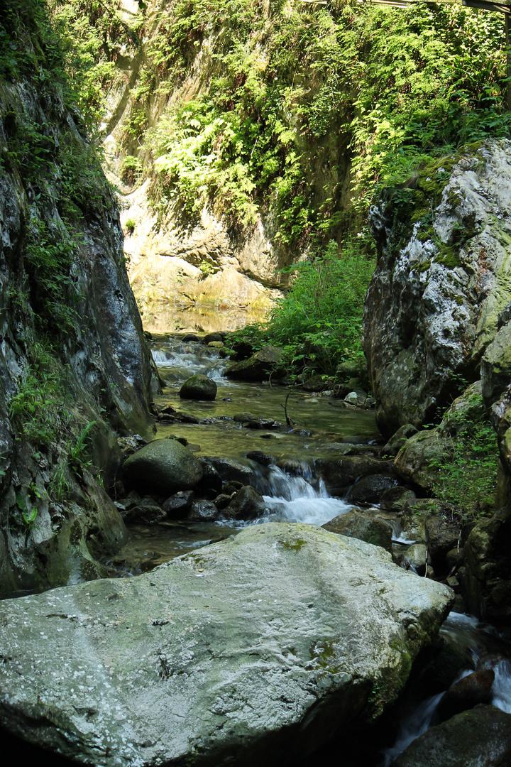 Gorges de la fou.