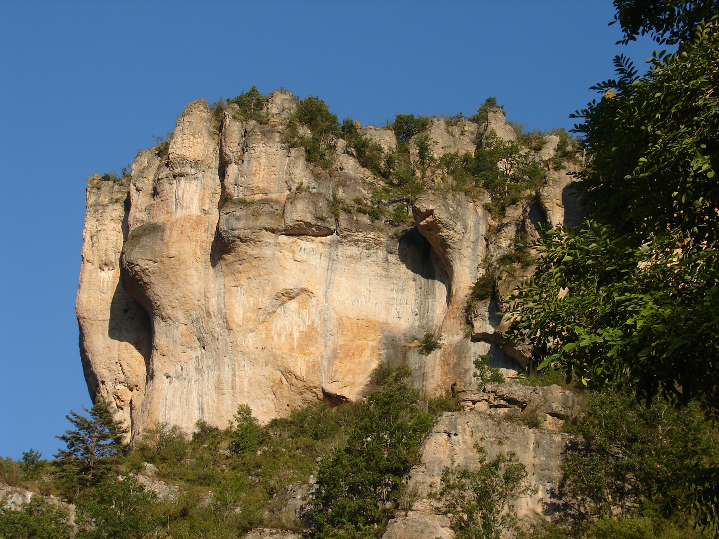 Gorges de la Jonte