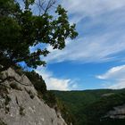 - gorges de la nesque -