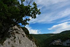 - gorges de la nesque -