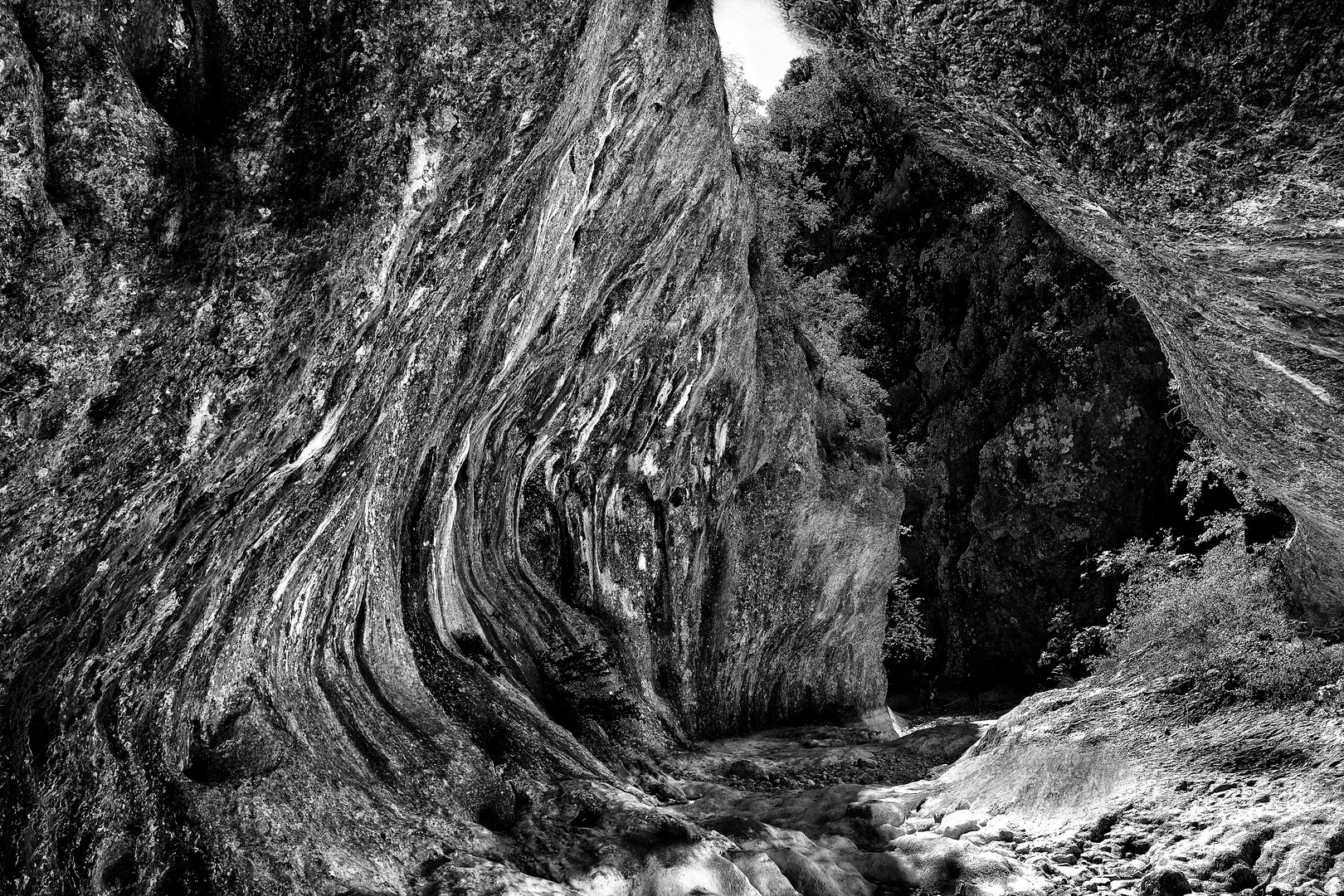 Gorges de l'Ardèche II