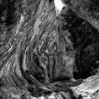 Gorges de l'Ardèche II