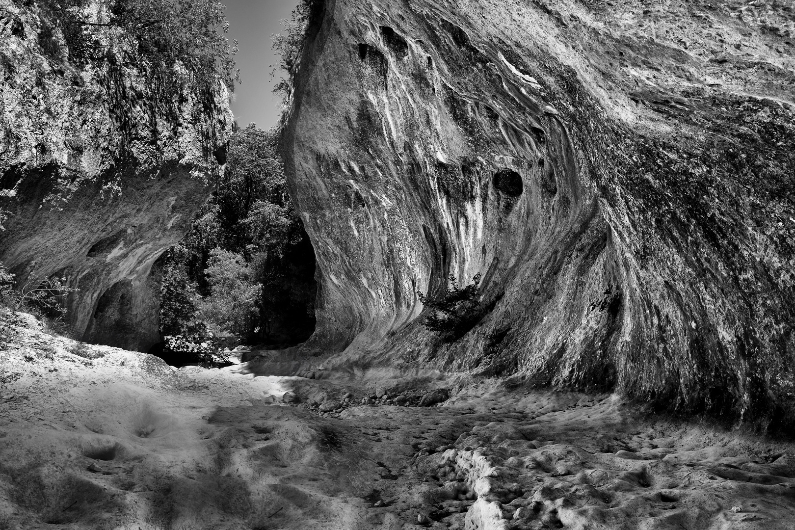 Gorges de l'Ardèche III