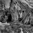 Gorges de l'Ardèche III