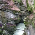 Gorges de l'Areuse