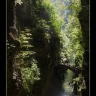 Gorges de l'Areuse