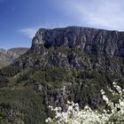 Gorges de Trevans