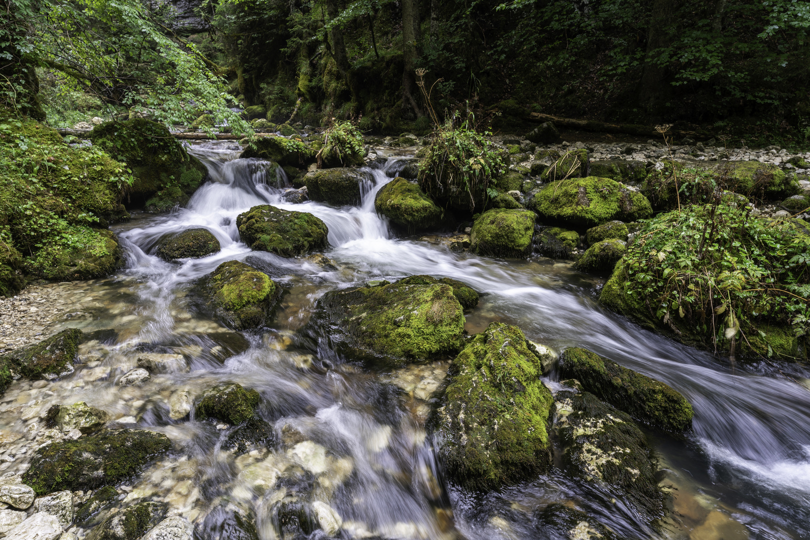 Gorges du Bruyant 