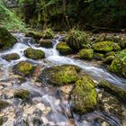 Gorges du Bruyant 