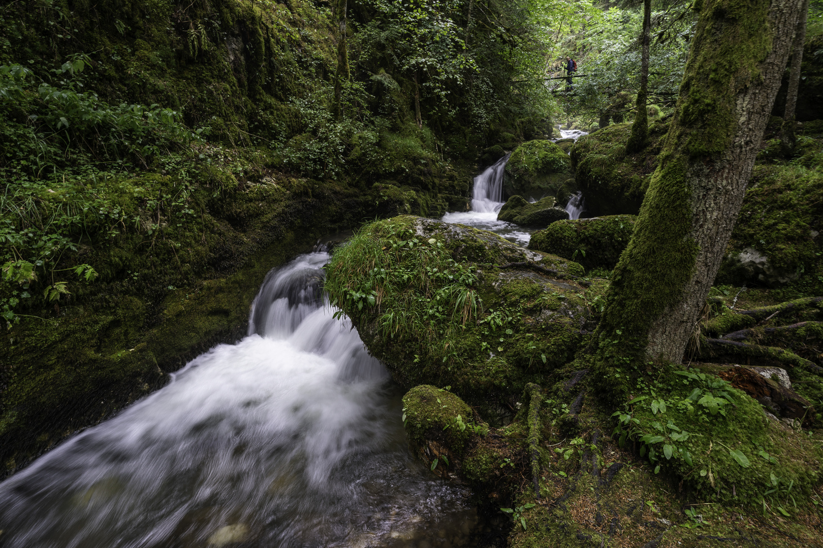 Gorges du Bruyant