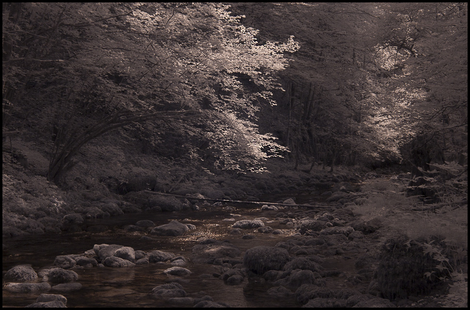 Gorges du Pichoux