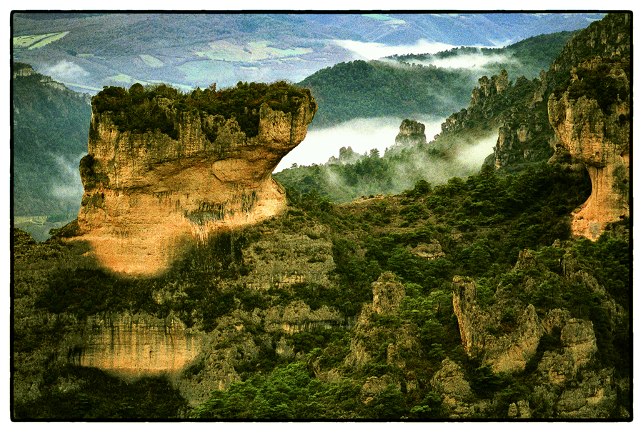 Gorges du Tarn