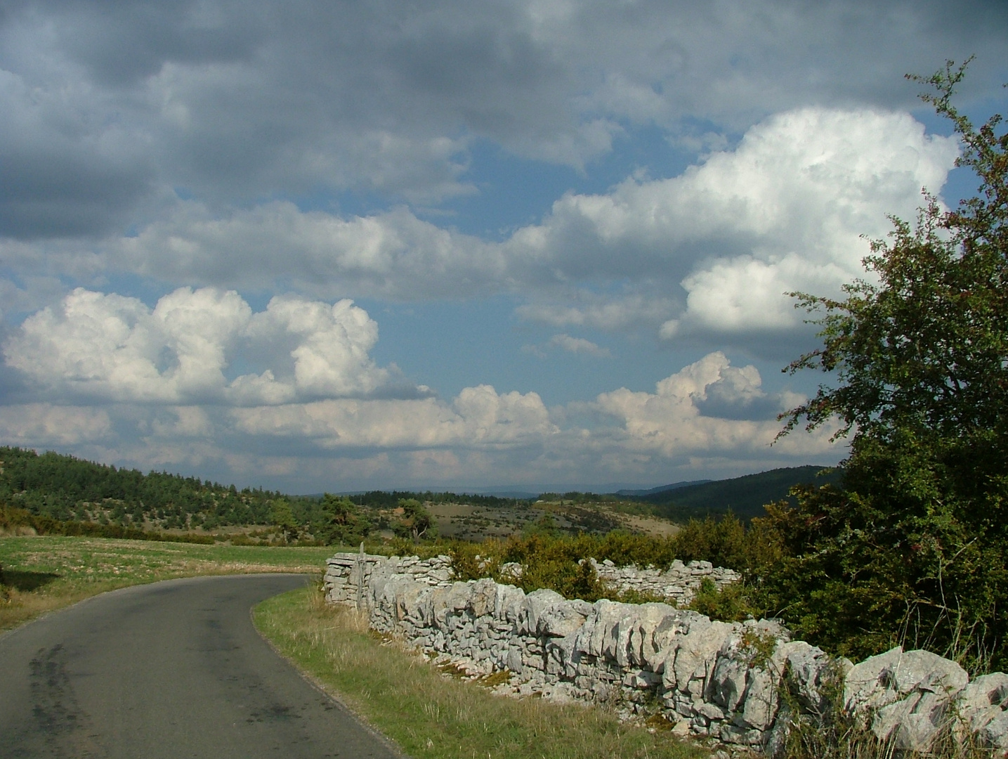 GORGES DU TARN