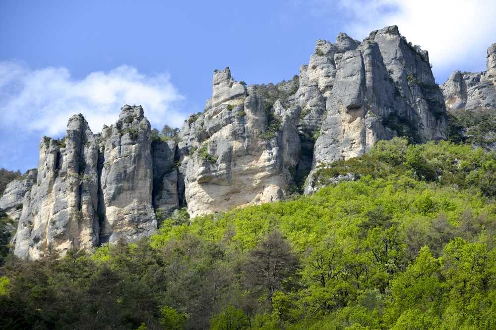       Gorges du Tarn 