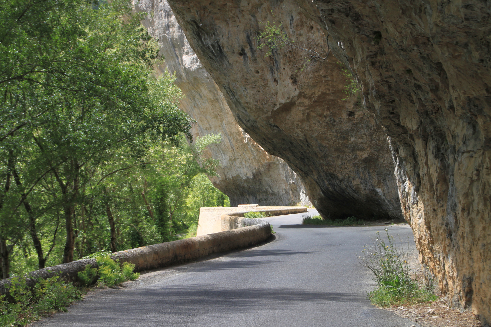 Gorges du Tarn