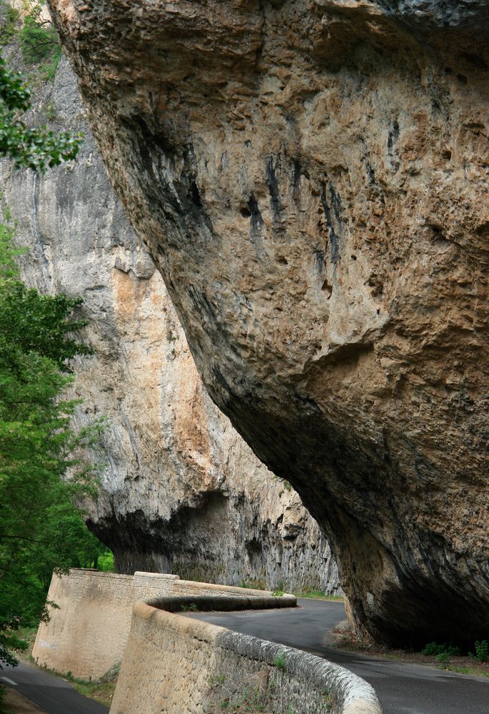 Gorges du tarn ( XXiX.)