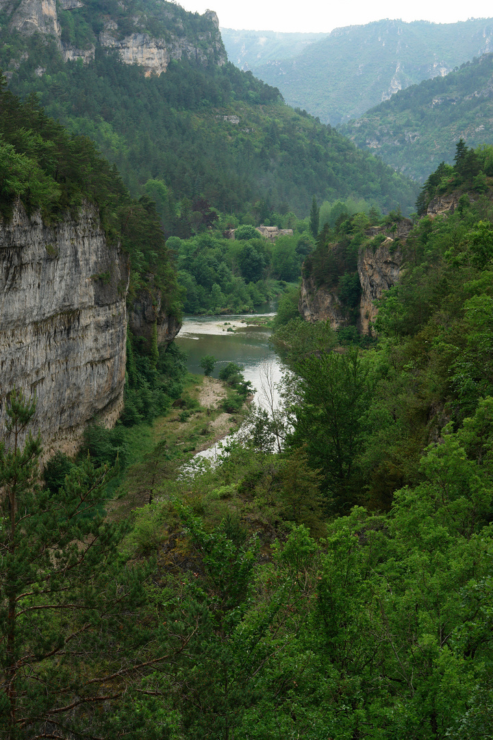 Gorges du Tarn ( XXVI.)