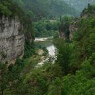 Gorges du Tarn ( XXVI.)