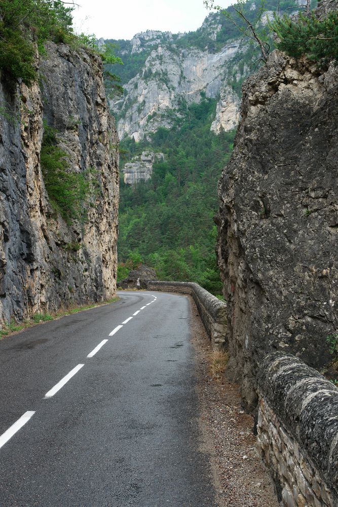 Gorges du Tarn ( XXVII. )