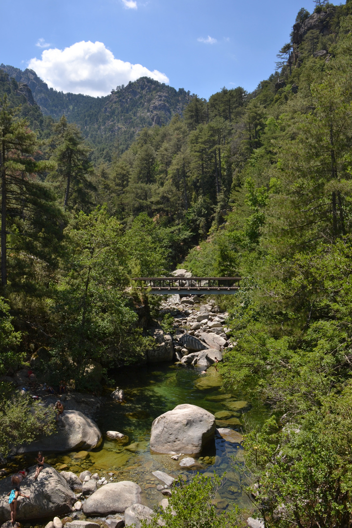 Gorges du Tavignano 2