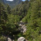 Gorges du Tavignano 2