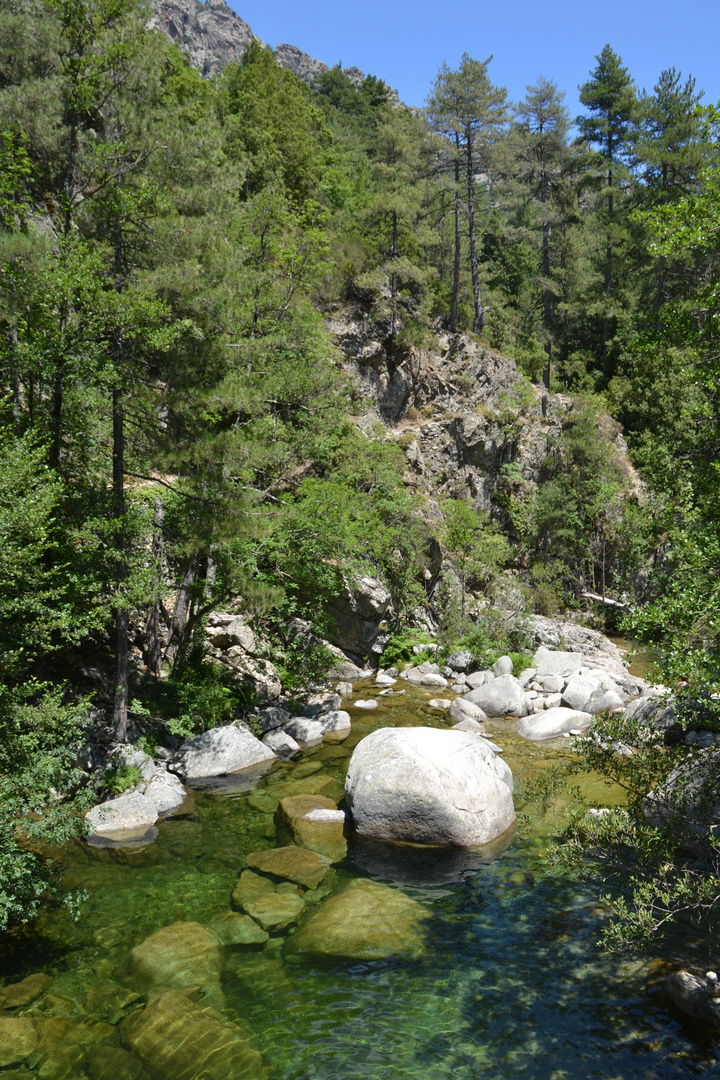 Gorges du Tavignano