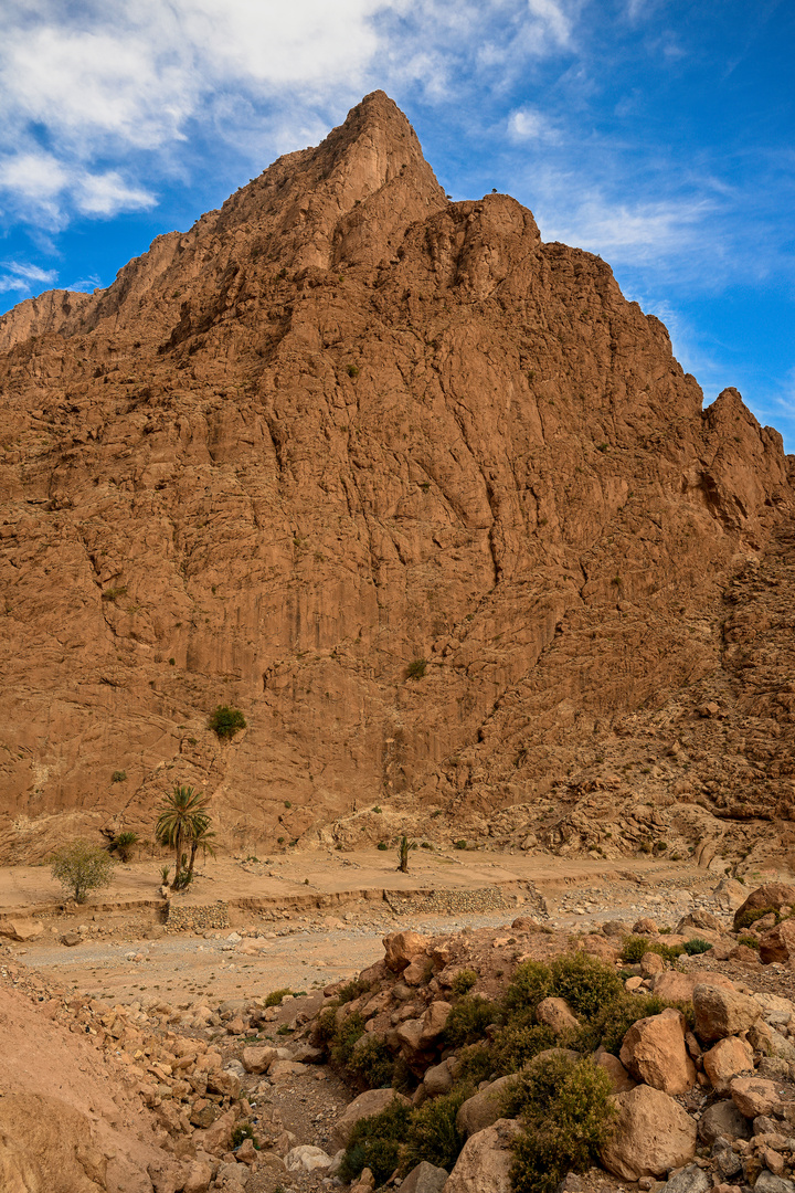 Gorges du Todgha 04