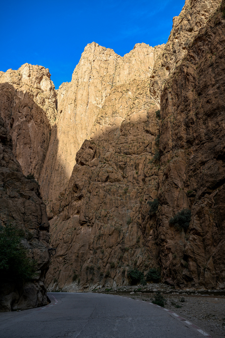 Gorges du Todgha 05