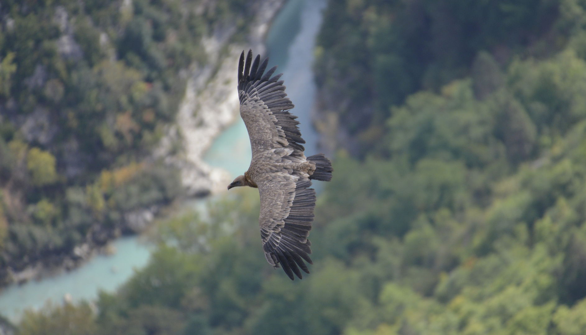 Gorges du Verdon