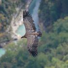 Gorges du Verdon