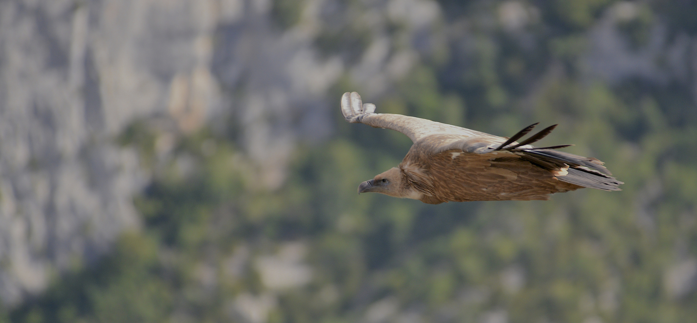 Gorges du Verdon II