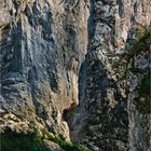 Gorges du Verdon III