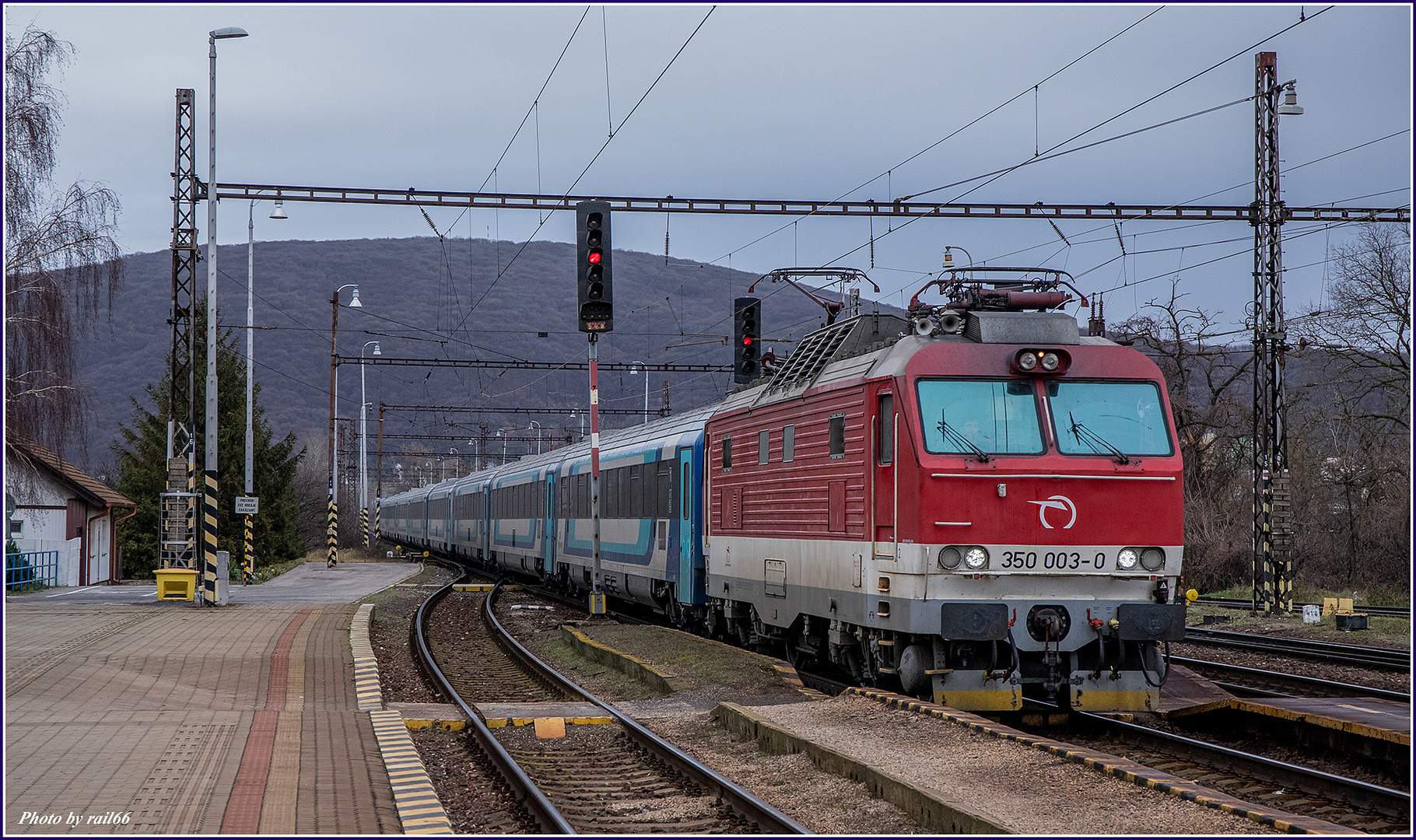 "Gorila" im Plandienst