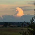 gorilla cloud