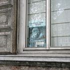 Gorilla im Fenster