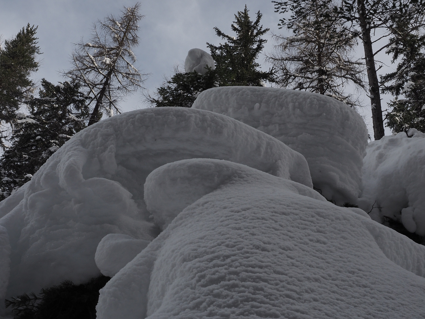 Gorilla im Winterwald