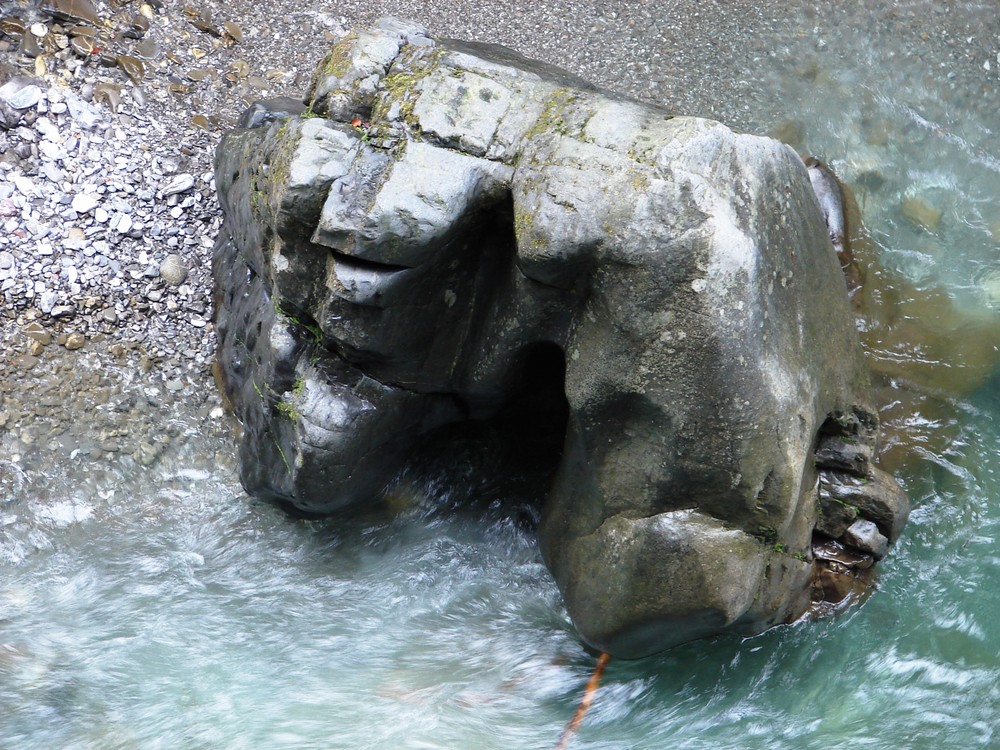 Gorilla in der Breitach Klamm