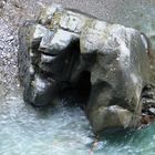 Gorilla in der Breitach Klamm