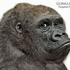 Gorilla LENA