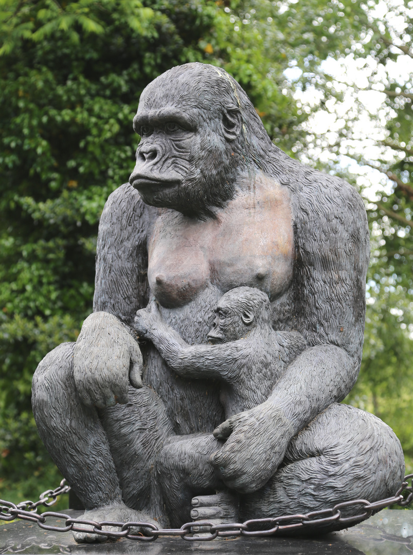 Gorilla Mother