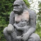 Gorilla Mother