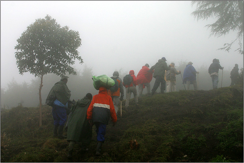 gorilla-trekking - Menschen im Nebel