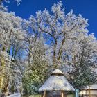 Gorillabüste im Bremer Bürgerpark