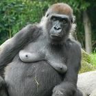 Gorilladame Big Mama